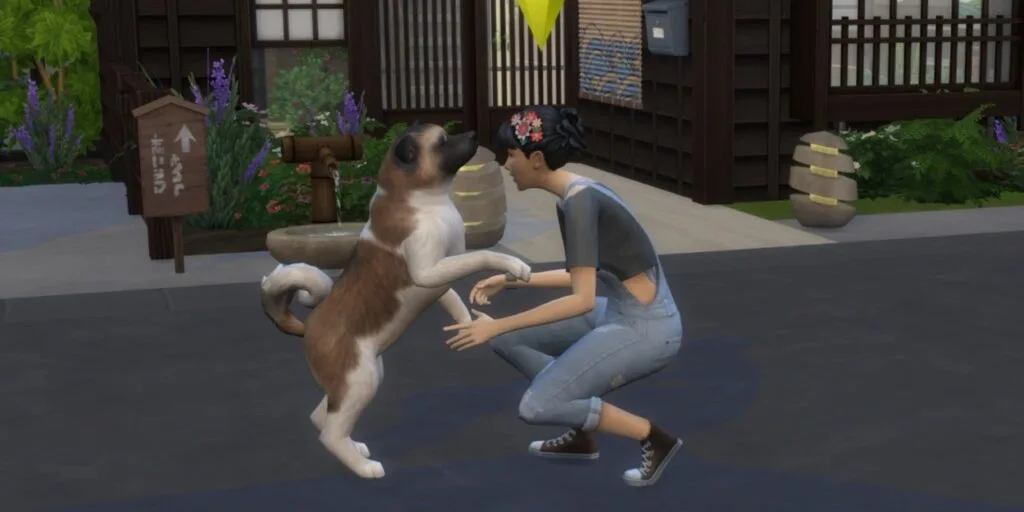 sims4 セール ペット 欲求mod